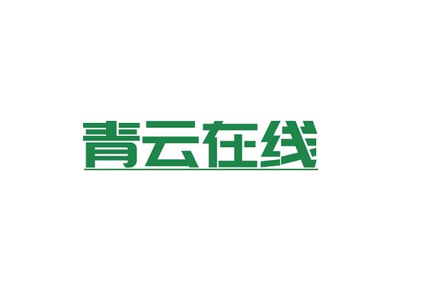 从技术到服务 大数据时代下软件开发的新范式与安全挑战